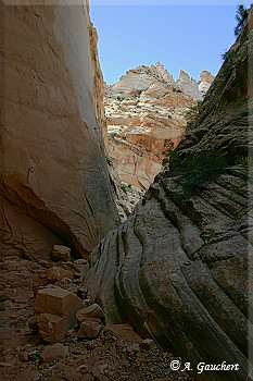 Schatten im Canyon